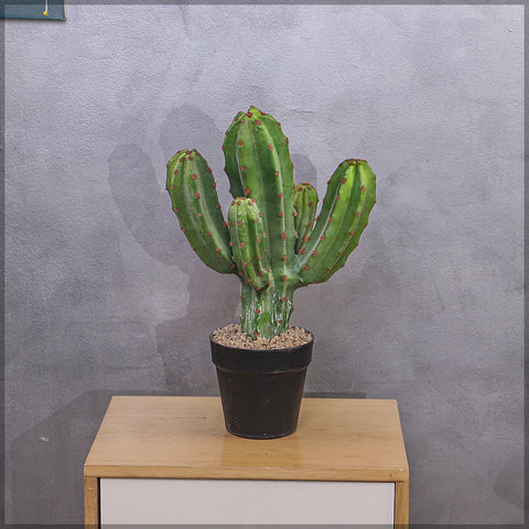 Artificial Small Potted Cactus Plant