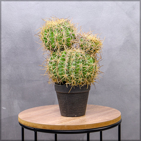 Indoor Artificial Cactus Ball Decoration