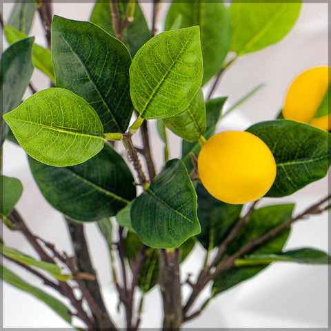 Artificial citrus tree for modern spaces