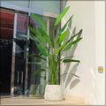 Large faux banana tree for interior design in a contemporary office setting