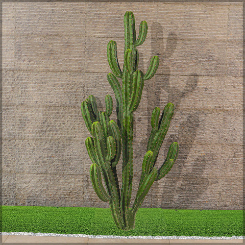 Artificial green cactus plant