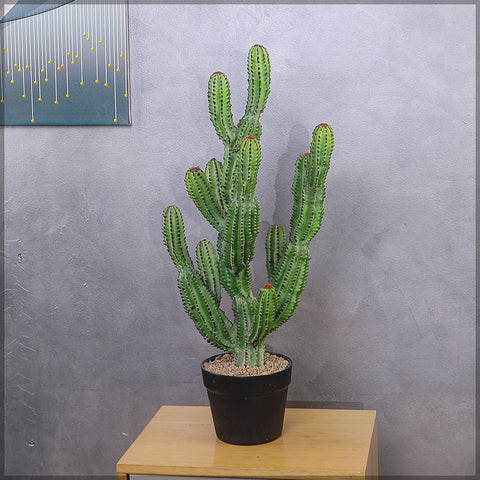 Artificial Small Potted Cactus Plant