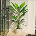 Artificial banana plant 3m high in a bright living room corner