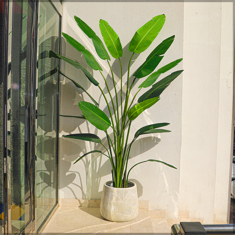 Artificial banana plant 3m high in a bright living room corner