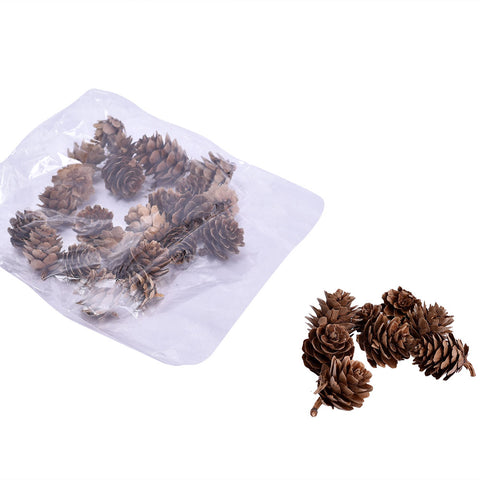 Natural Rustic Pine Cones Brown