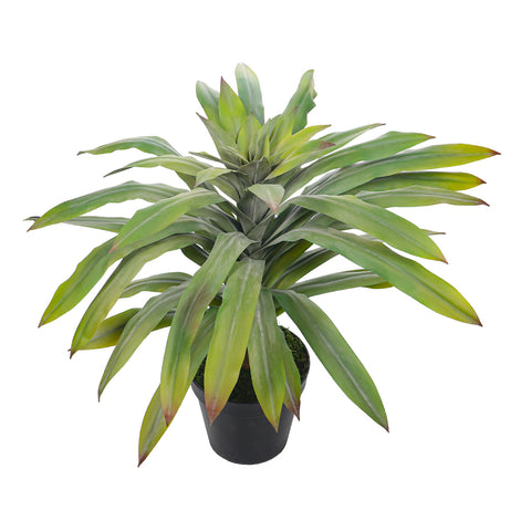 Faux Nordic style plant for modern interiors