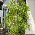 Bamboo fake plants adding greenery and texture to a room