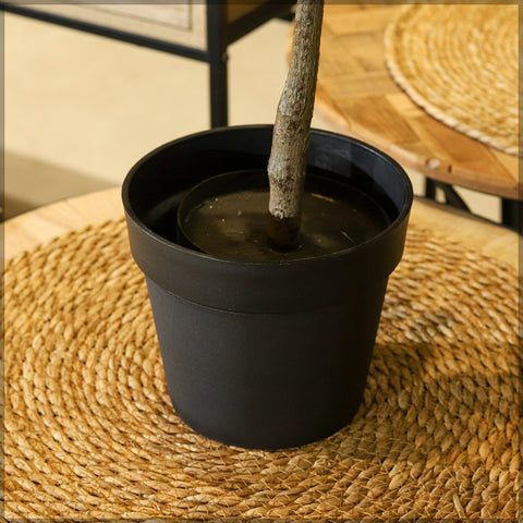 Black plastic flower pots