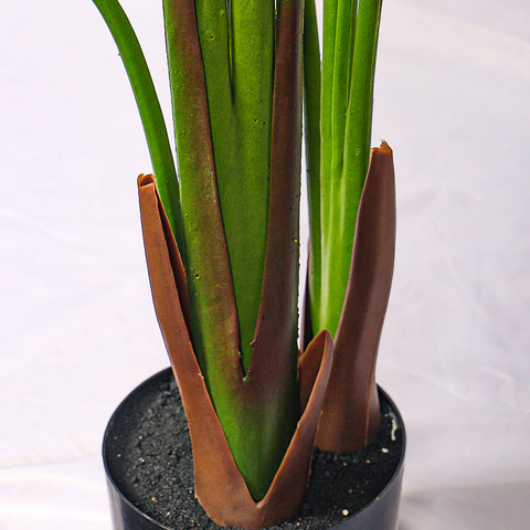 130cm tall artificial banana tree in a sleek office space