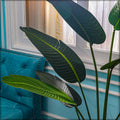 Decorative banana plant in an indoor modern home setting