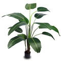 Decorative artificial banana plant 2m standing tall in a spacious office