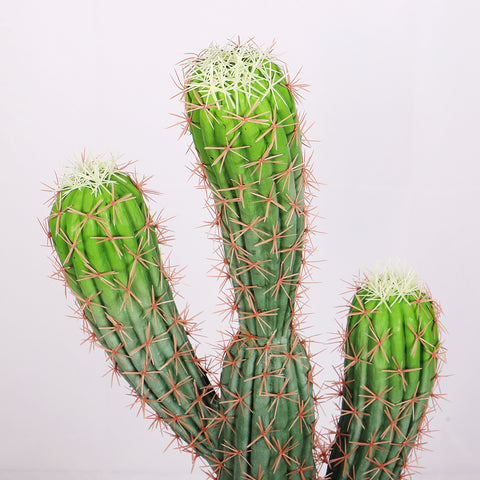 Realistic Artificial Cactus