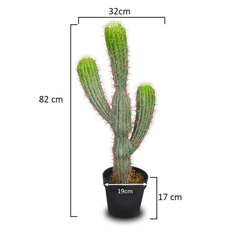 Artificial San Pedro Cactus Plant