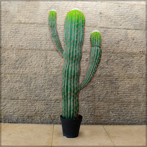 Low Maintenance Faux Cactus Plants