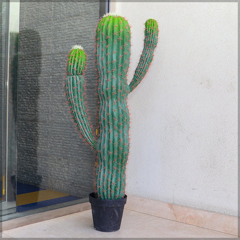 Artificial San Pedro Cactus Plant