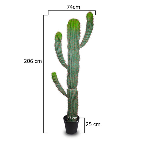 Artificial San Pedro Cactus Plant