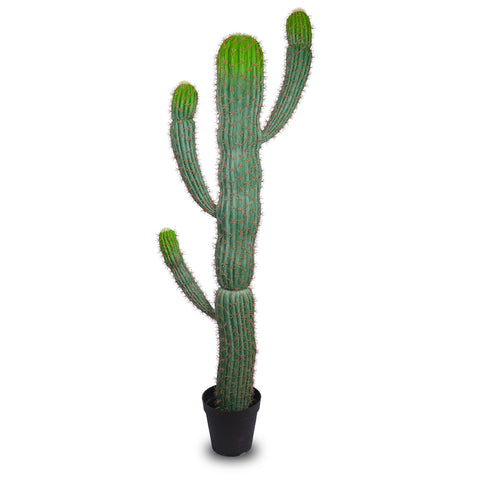 Artificial San Pedro Cactus Plant