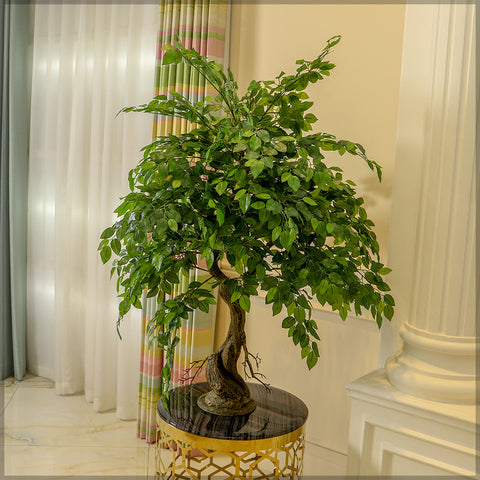 Faux ficus tree for low-maintenance decor