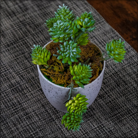 Artificial Potted Sedum Faux Succulent