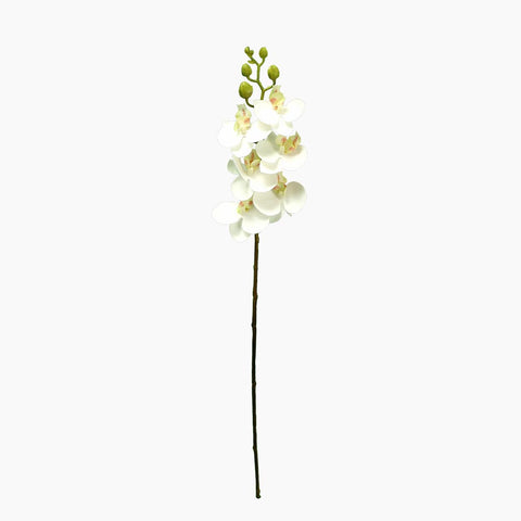 Artificial Mini Phalaenopsis Flowers White