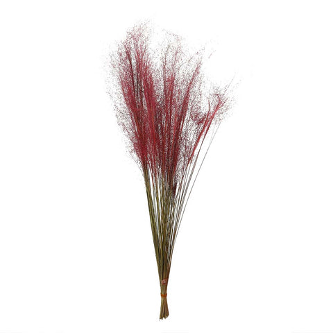 Natural Dried Grass