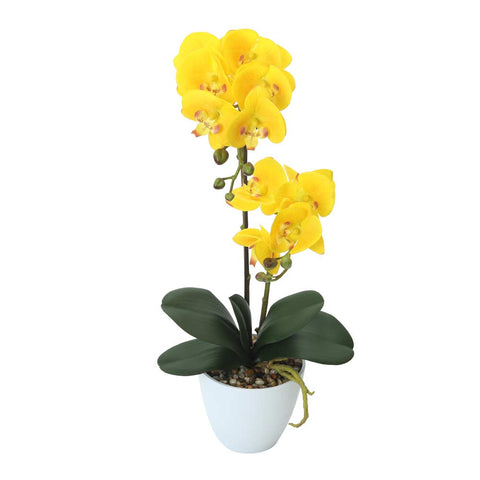 Fake Potted Orchid Flower With 2 Stem