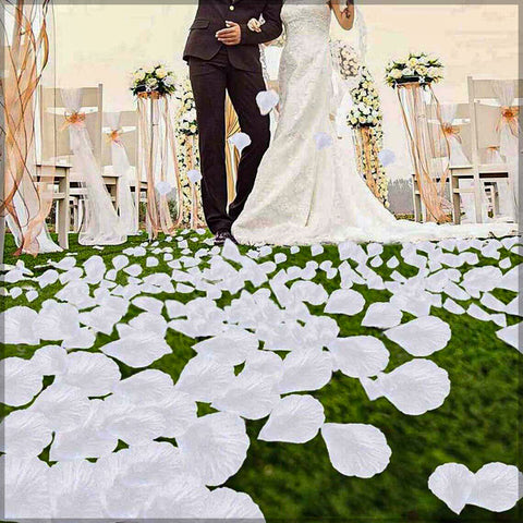 144 Pieces Artificial Silk Rose Petals