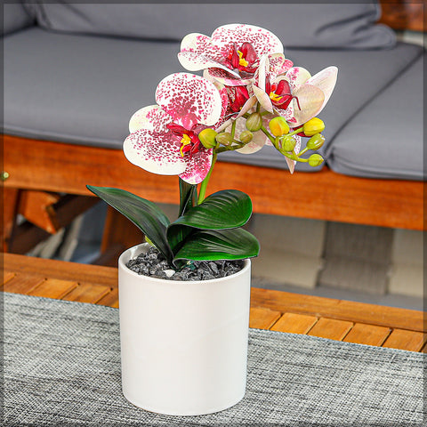 Potted Orchid Flower Arrangement