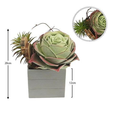 Artificial Potted Succulent Plant