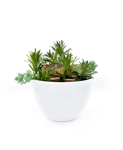 Artificial Succulent Plant With Wooden Stump