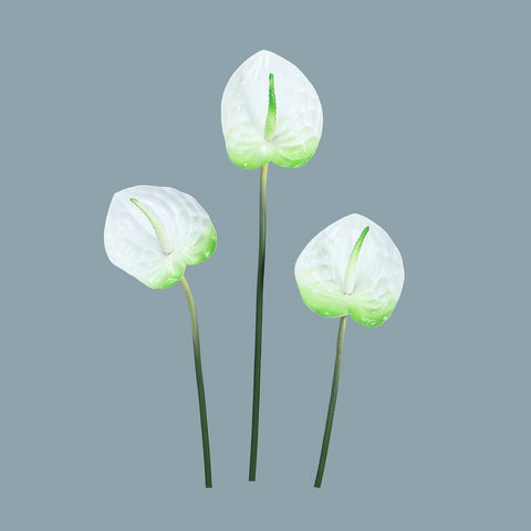 Artificial Single Anthurium Flower W-Green