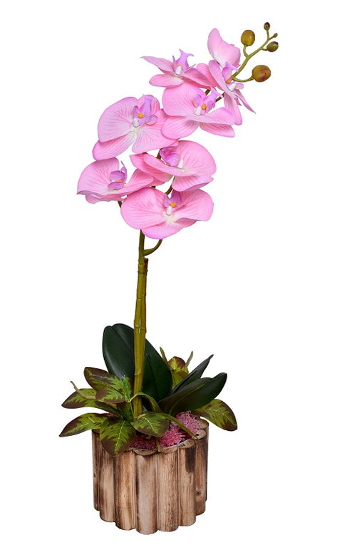 Silk Artificial Orchid Flowers In Wooden Pot