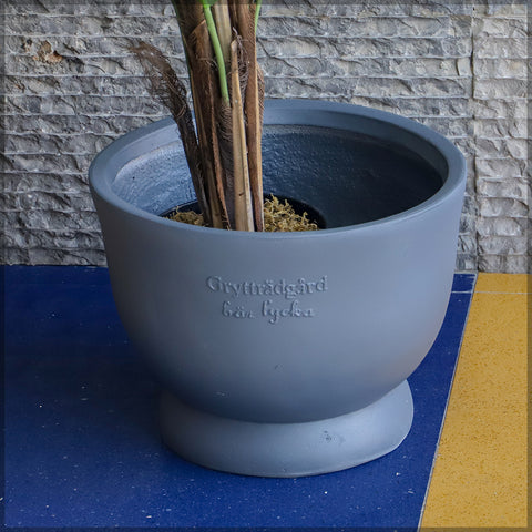 Concrete Planter Pot for Indoor Use