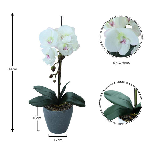 Artificial Potted Phalaenopsis Flower