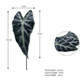 Anthurium artificial leaves