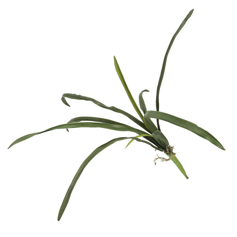 Artificial Cymbidium Orchid Leaves