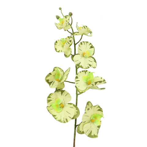 Artificial Green Orchid Flower-FO-803