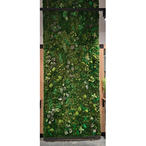 Shop Fresh Moss Wall Decoration