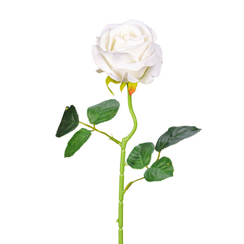 Single White Rose