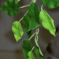 Durable decorative ficus tree for indoors