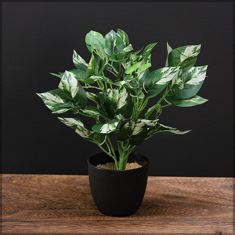 Small Artificial Potted Greenery Plant