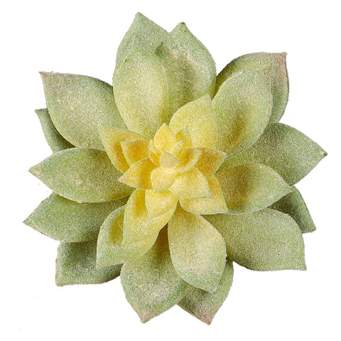 Realistic artificial succulent