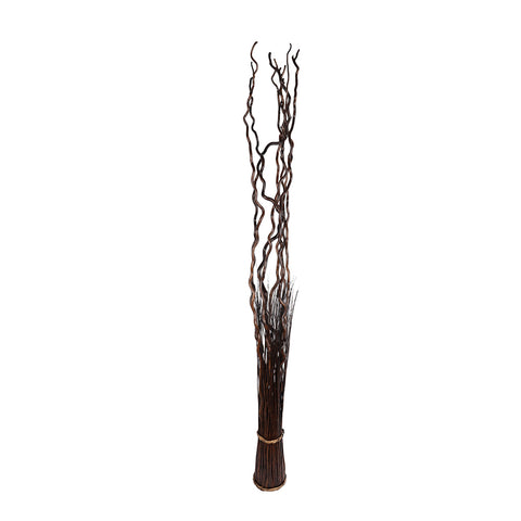 Dried Curly Twig Willow Branches-H19-3032