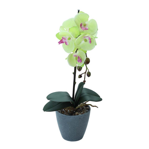 Artificial Potted Phalaenopsis Flower