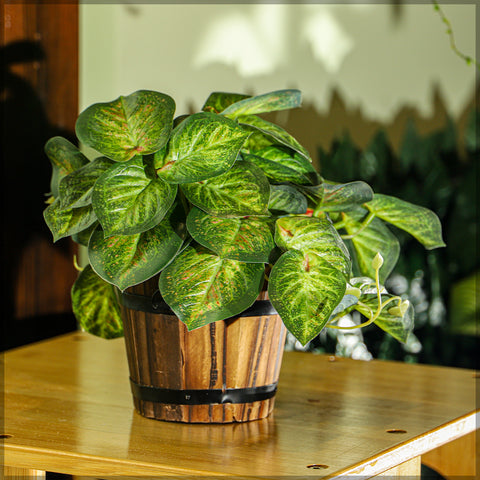 Faux tropical leaves with artificial syngonium for decor