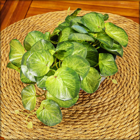 Lifelike syngonium leaf bunch for indoor greenery