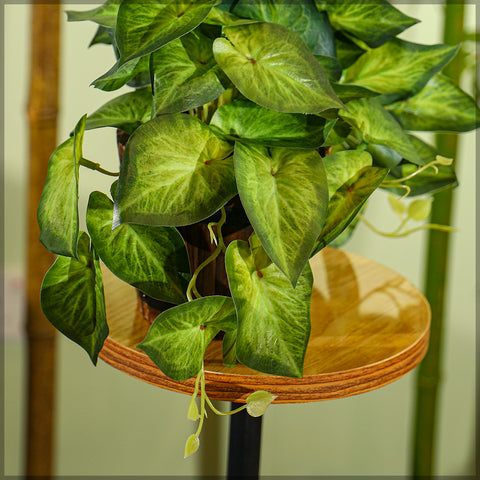 Artificial Syngonium Bunch Leaves