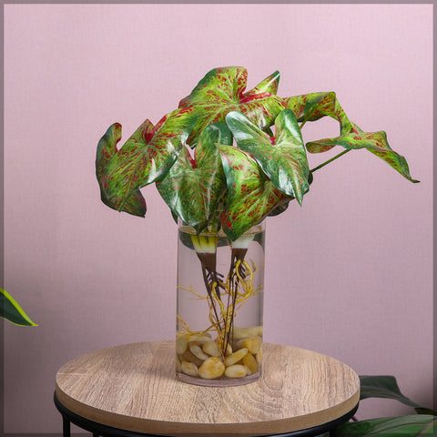 Bunches Artificial Caladium Bush