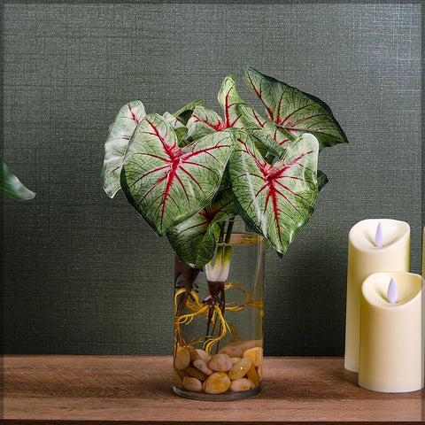 Faux caladium leaves for creating a tropical aesthetic indoors