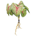 Lifelike caladium plant for home and office decor